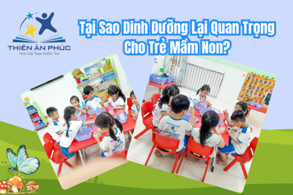 Tại Sao Dinh Dưỡng Lại Quan Trọng Cho Trẻ Mầm Non?