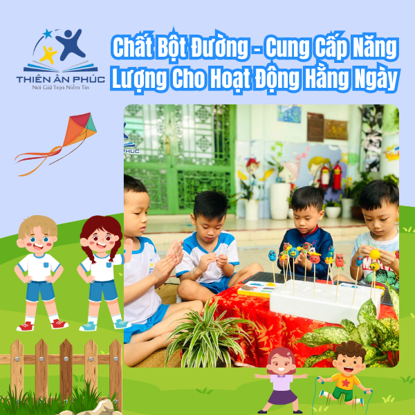 Chất bột đường cung cấp năng lượng cho hoạt động hằng ngày 