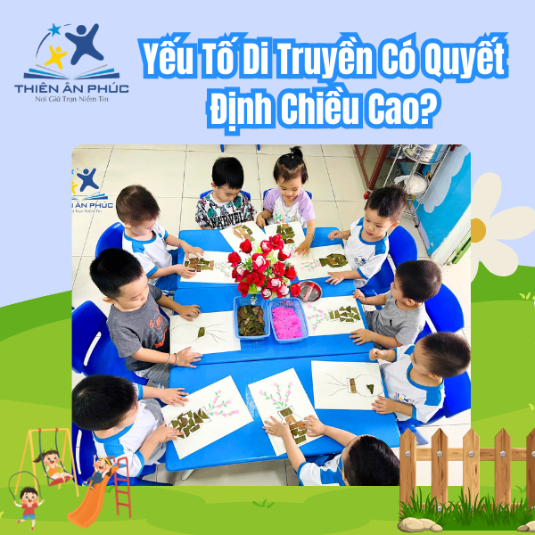 Yếu tố di truyền có quyết định chiều cao